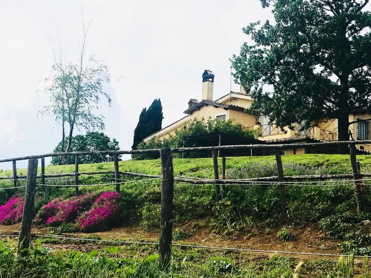 Bed and Breakfast Borgo Del Gelso Olgiata Zewnętrze zdjęcie
